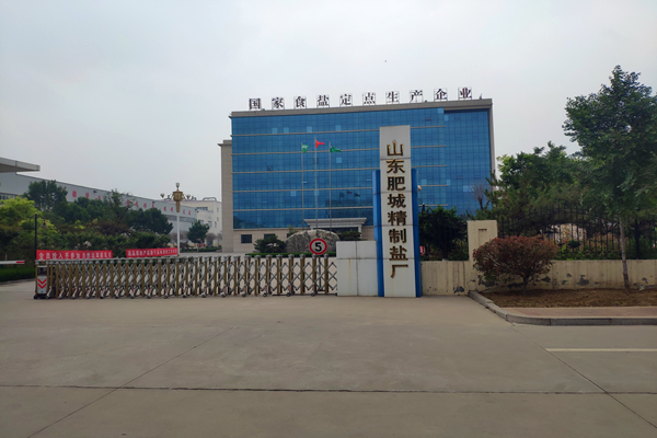 山東肥城精制鹽廠有限公司 能耗在線監(jiān)測(cè)案例(圖1)